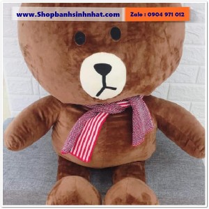 Gấu Bông Teddy Hàn Quốc - GAU21